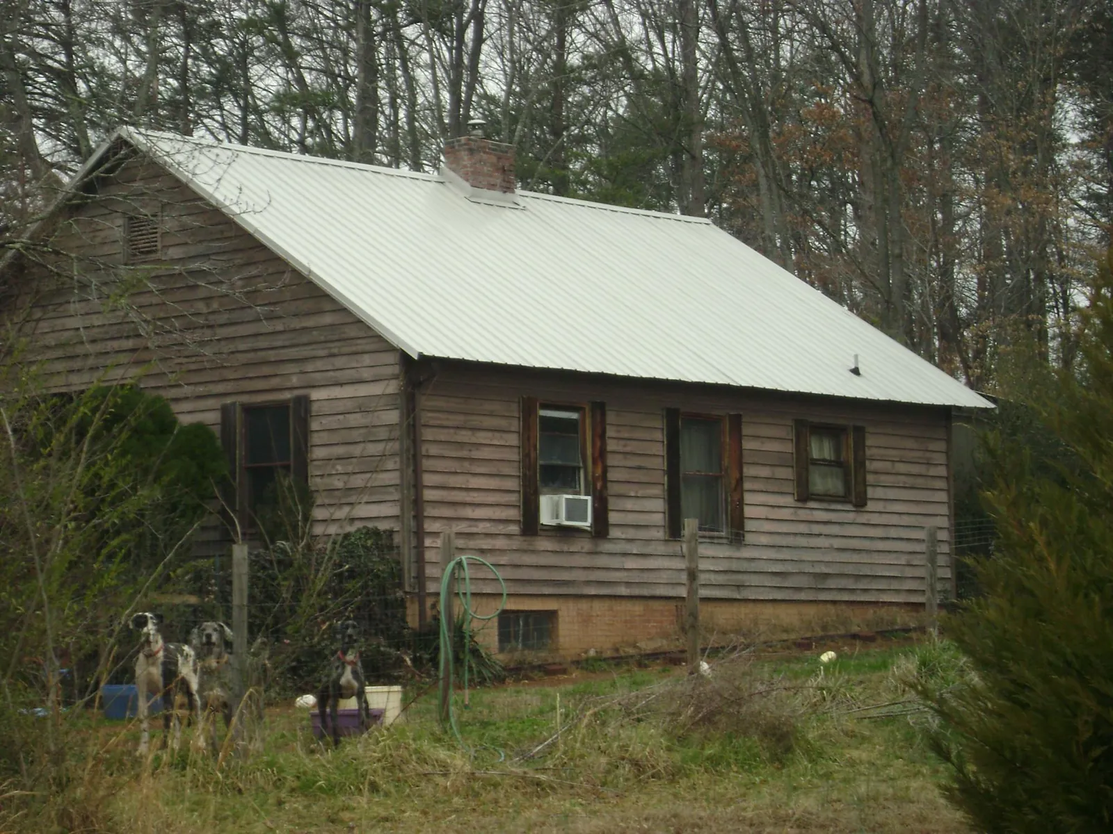 White metal roof on an old wood sided farmhouse, from a Asphalt Shingle Roof Repair job in Newdale